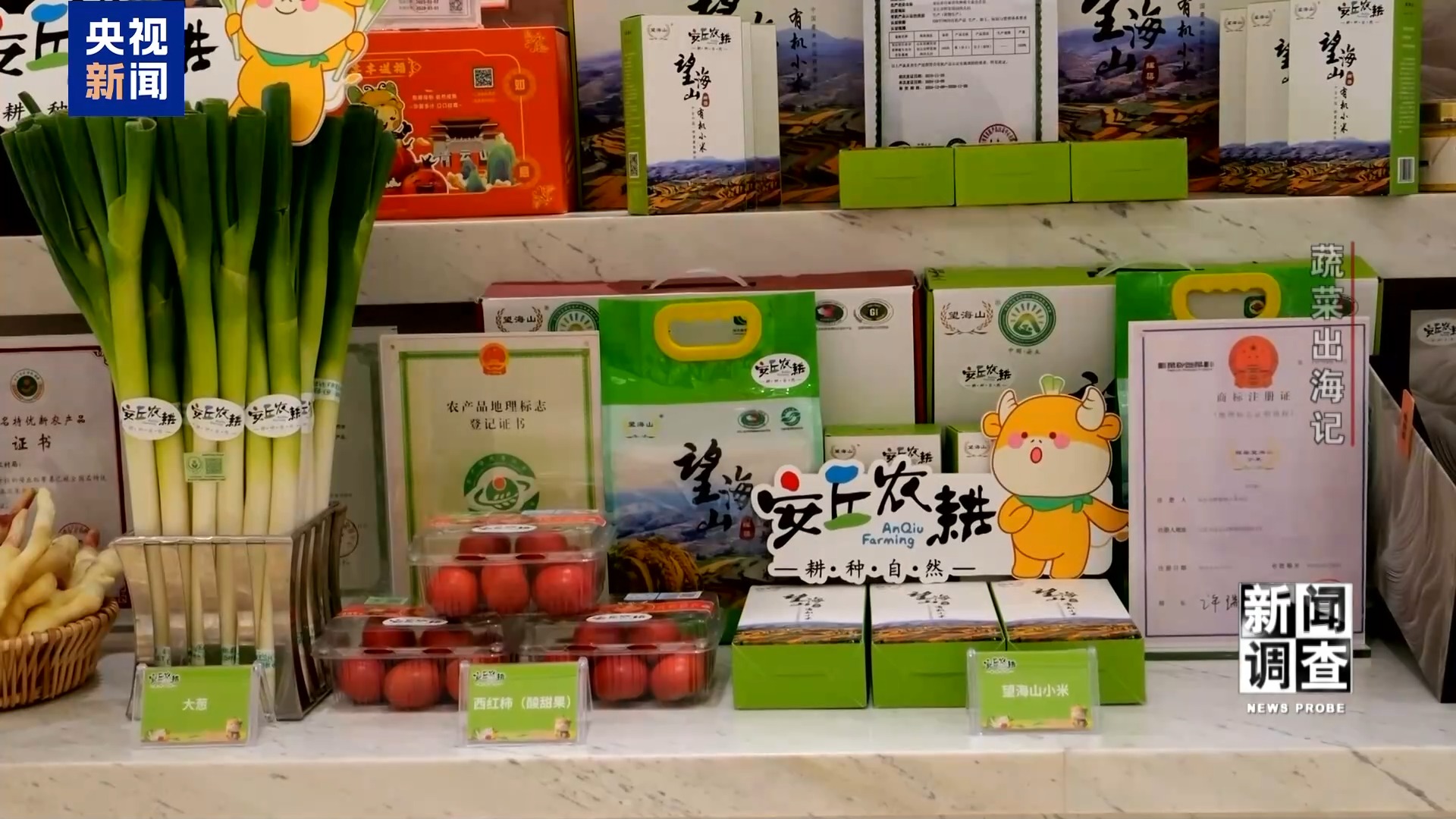 新闻调查丨从追标准到定标准 “中国蔬菜出口第一县”做对了什么? 新闻调查丨从追标准到定标准 “中国蔬菜出口第一县”做对了什么?