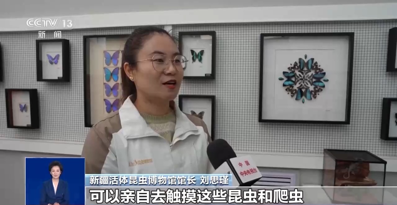 视频丨运动+研学 多地首个“雪假”有滋有味乐趣十足