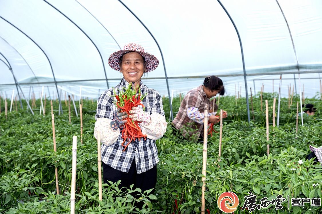二十四节气·寻味广西丨大雪