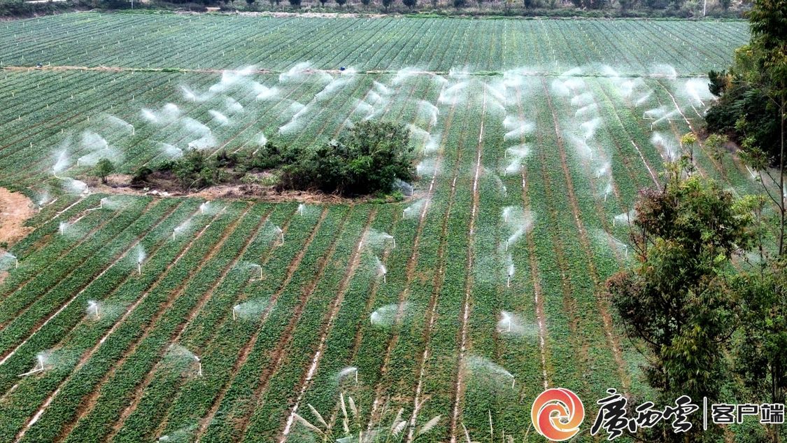 二十四节气·寻味广西丨大雪