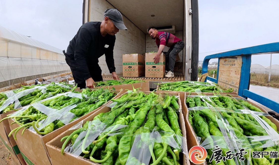 二十四节气·寻味广西丨大雪