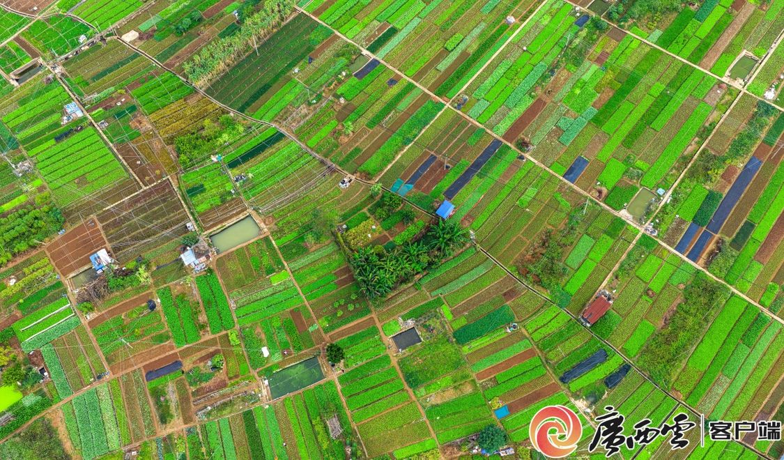 二十四节气·寻味广西丨大雪