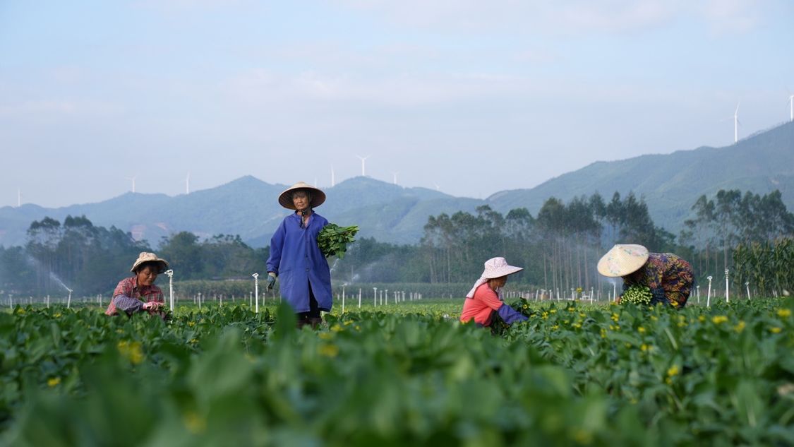 二十四节气·寻味广西丨大雪