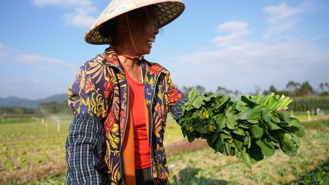 二十四节气·寻味广西丨大雪