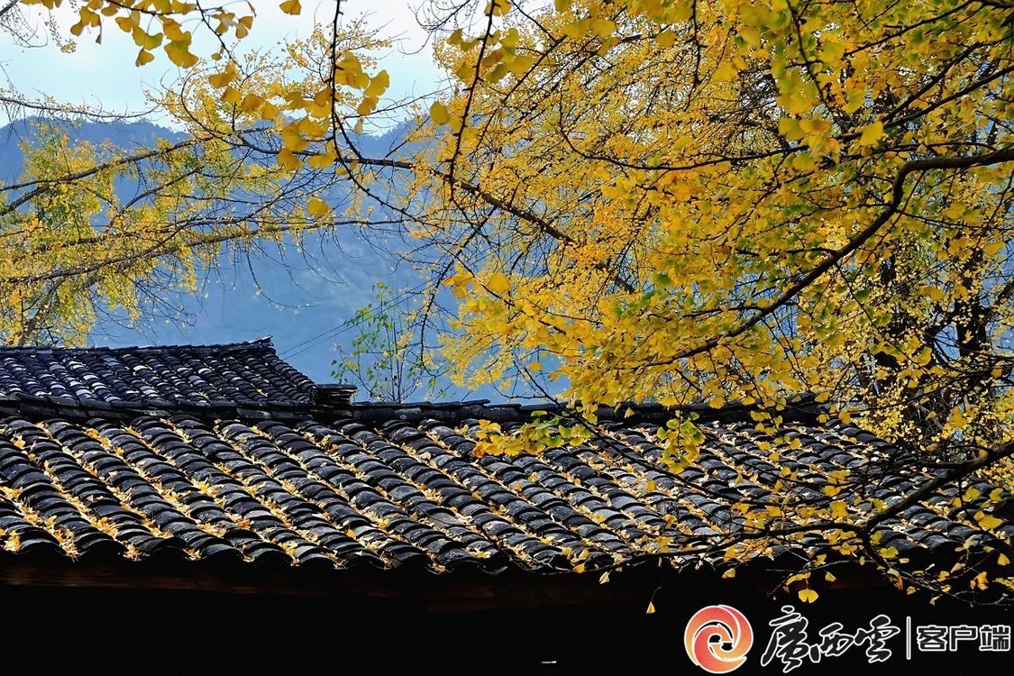 二十四节气·寻味广西丨大雪