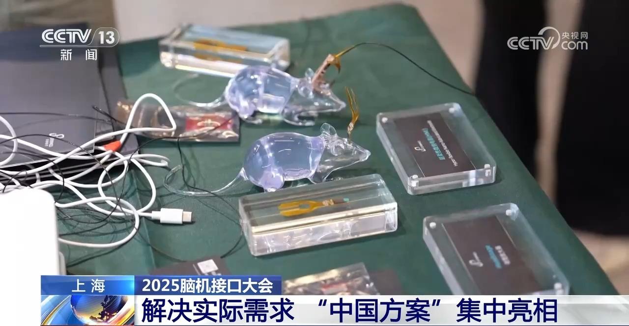 从“意念操控”到“视觉重建” 脑机接口有哪些新突破?