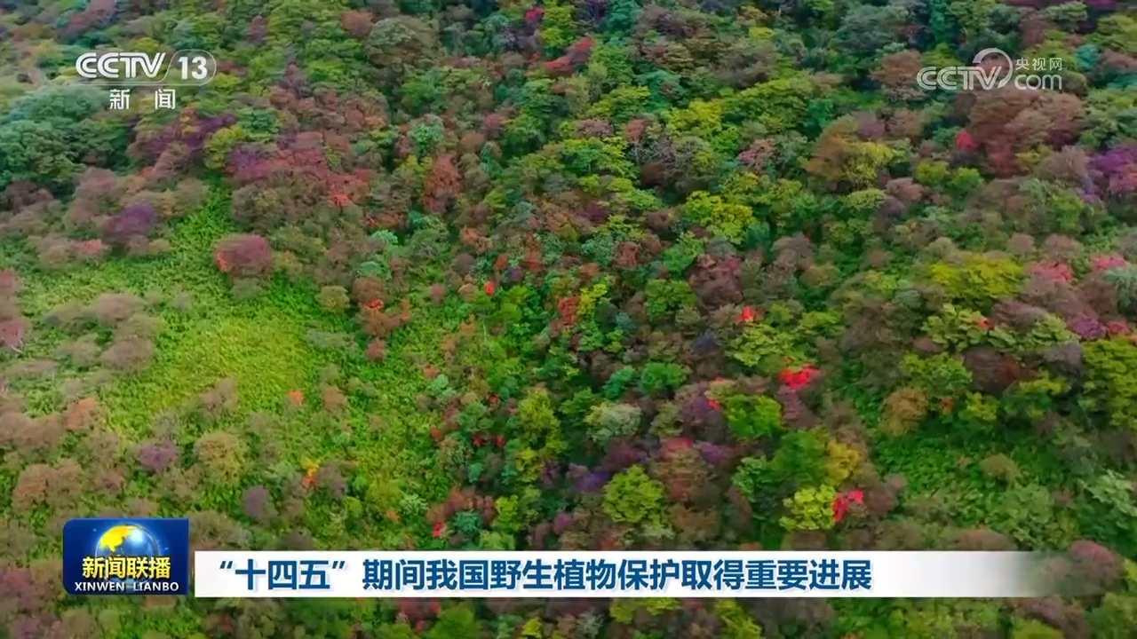 “十四五”期间我国野生植物保护取得重要进展