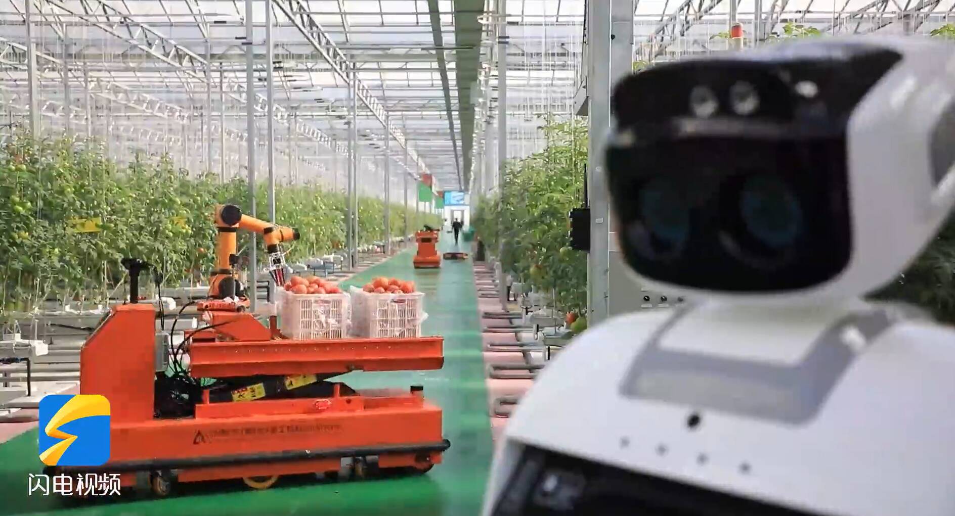 好评中国 | 跑好“年底棒”,冲刺“满堂彩”