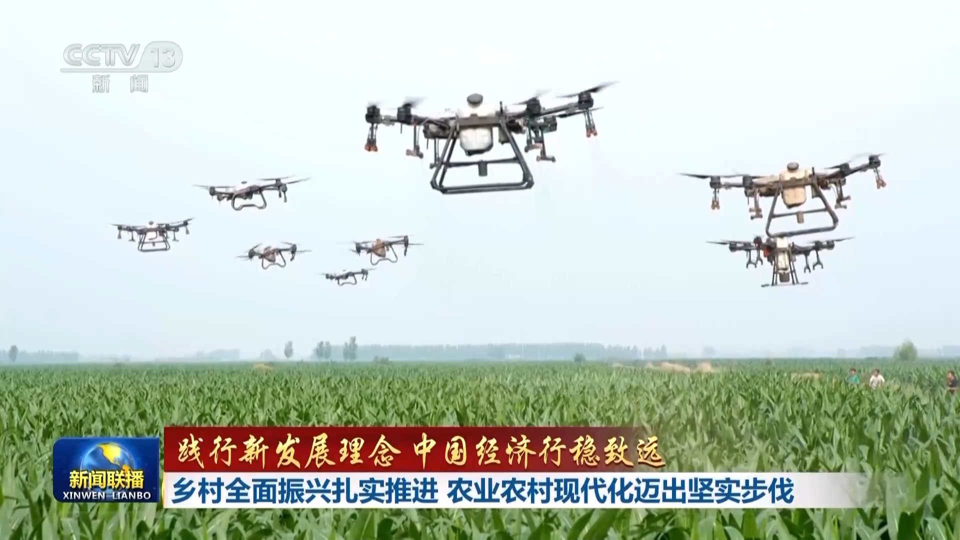 践行新发展理念 中国经济行稳致远丨乡村全面振兴扎实推进 农业农村现代化迈出坚实步伐