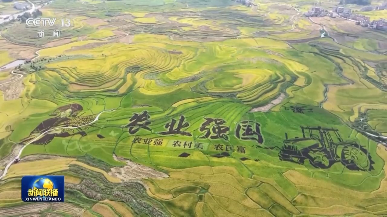 践行新发展理念 中国经济行稳致远丨乡村全面振兴扎实推进 农业农村现代化迈出坚实步伐