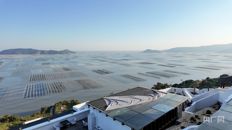 行进的海岸线|从“毛竹海”到“玻璃杆” “中国紫菜之乡”撬动十亿元产业