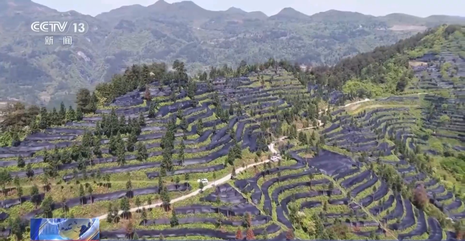 从一片树叶、一杯咖啡到美妆小瓶罐 看小产品如何撬动大市场