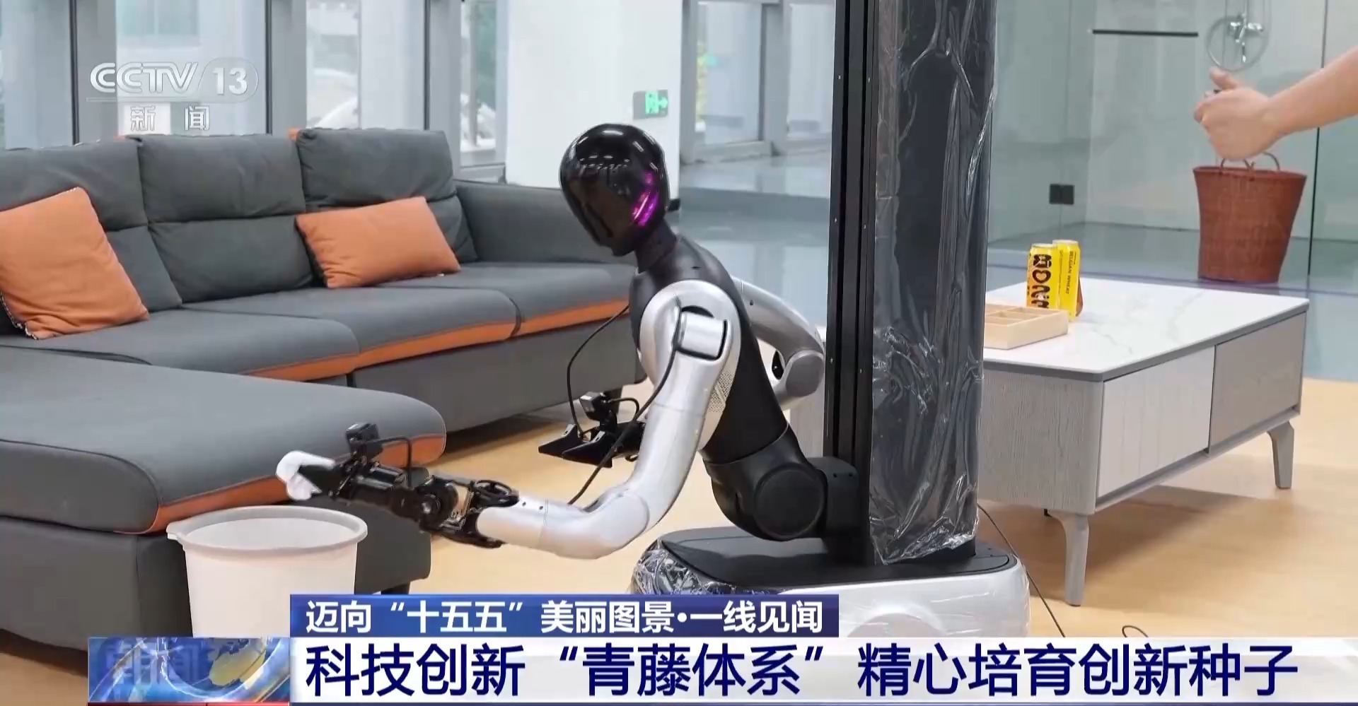 顺藤摸瓜！深圳“科创青藤成果转化服务体系”赋能硬科技转化