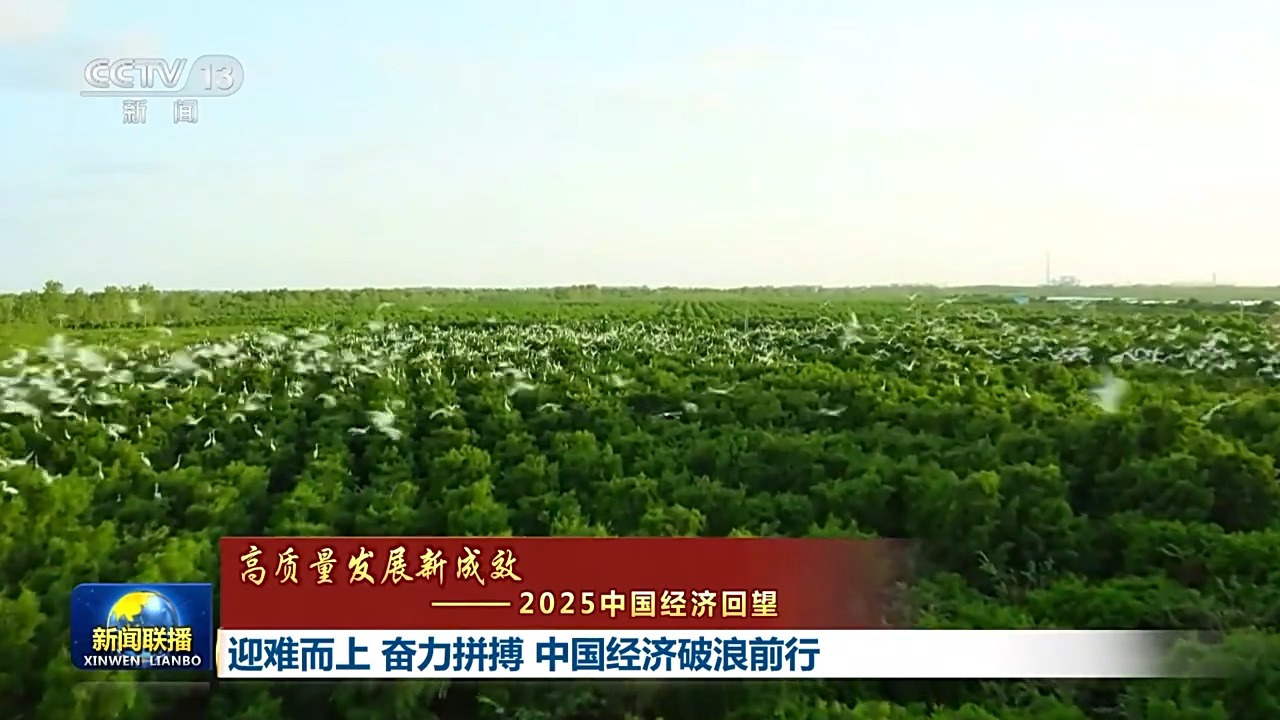 高质量发展新成效丨迎难而上 奋力拼搏 中国经济破浪前行