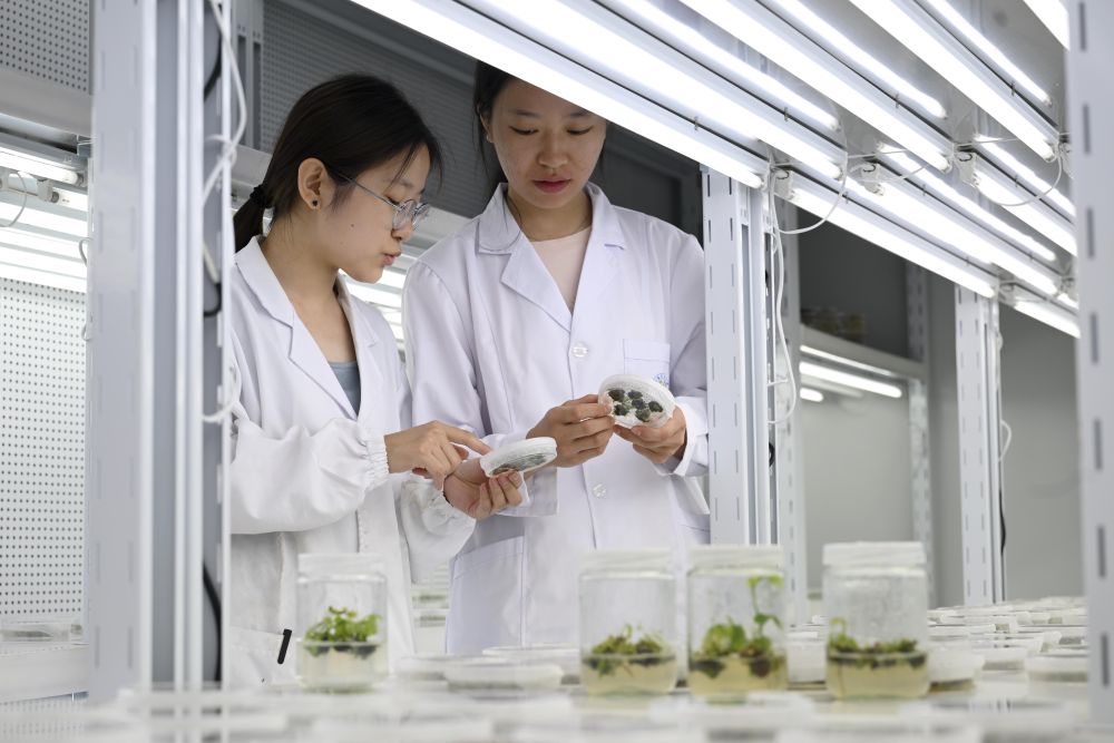 2025中国经济回眸|筑牢发展安全根基 守住风险防控底线——解码中国经济稳健前行的底气 2025中国经济回眸|筑牢发展安全根基 守住风险防控底线——解码中国经济稳健前行的底气