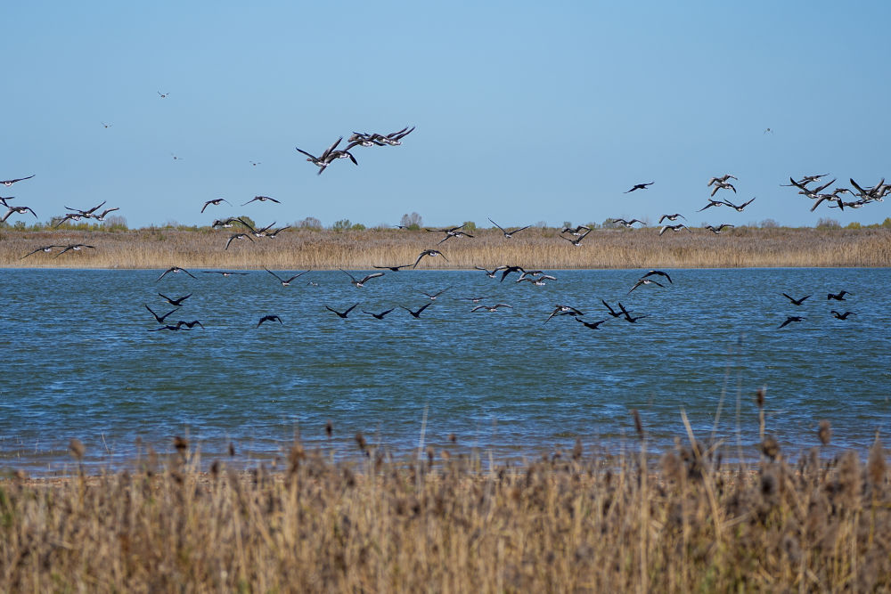 步调一致绘蓝图 因地制宜启新篇——多省份“十五五”规划建议观察