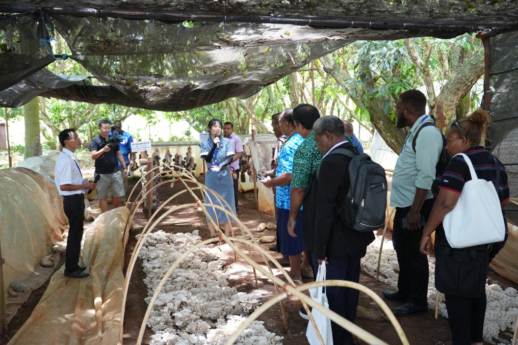 特稿丨读懂中国式现代化的钥匙——《习近平谈治国理政》第五卷出版发行激发世界回响