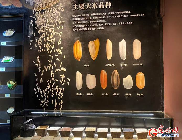 来广东佛山的这座博物馆,看粮食的“前世今生” 来广东佛山的这座博物馆,看粮食的“前世今生”