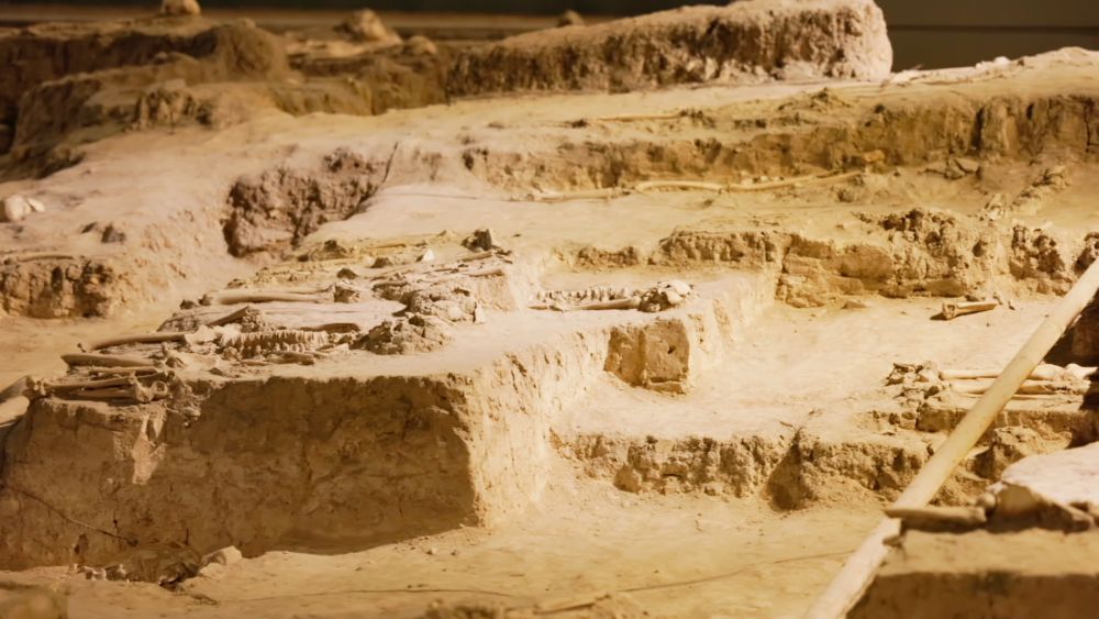 新华视点丨为了不应被遗忘的生命 新华视点丨为了不应被遗忘的生命