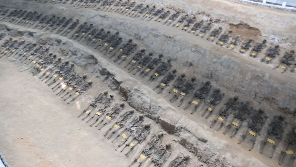 新华视点丨为了不应被遗忘的生命 新华视点丨为了不应被遗忘的生命