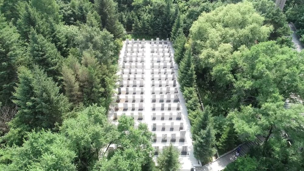 新华视点丨为了不应被遗忘的生命 新华视点丨为了不应被遗忘的生命