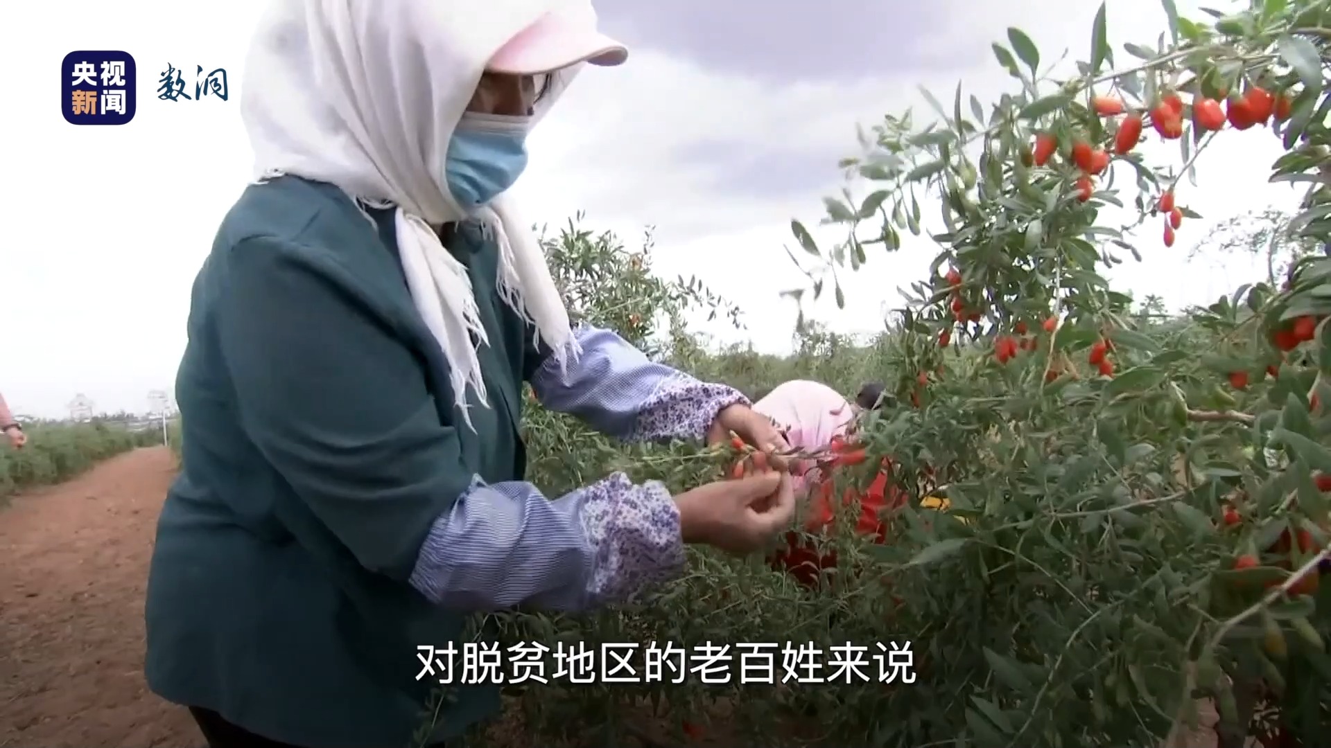 视频丨关乎消费、就业、房子，看懂关系到每个人的中央经济工作会议