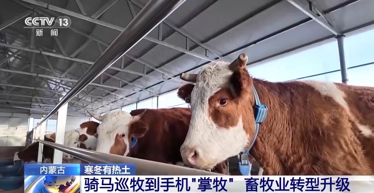 一只羊能有超170种产品!看草原美味如何撬动消费大市场