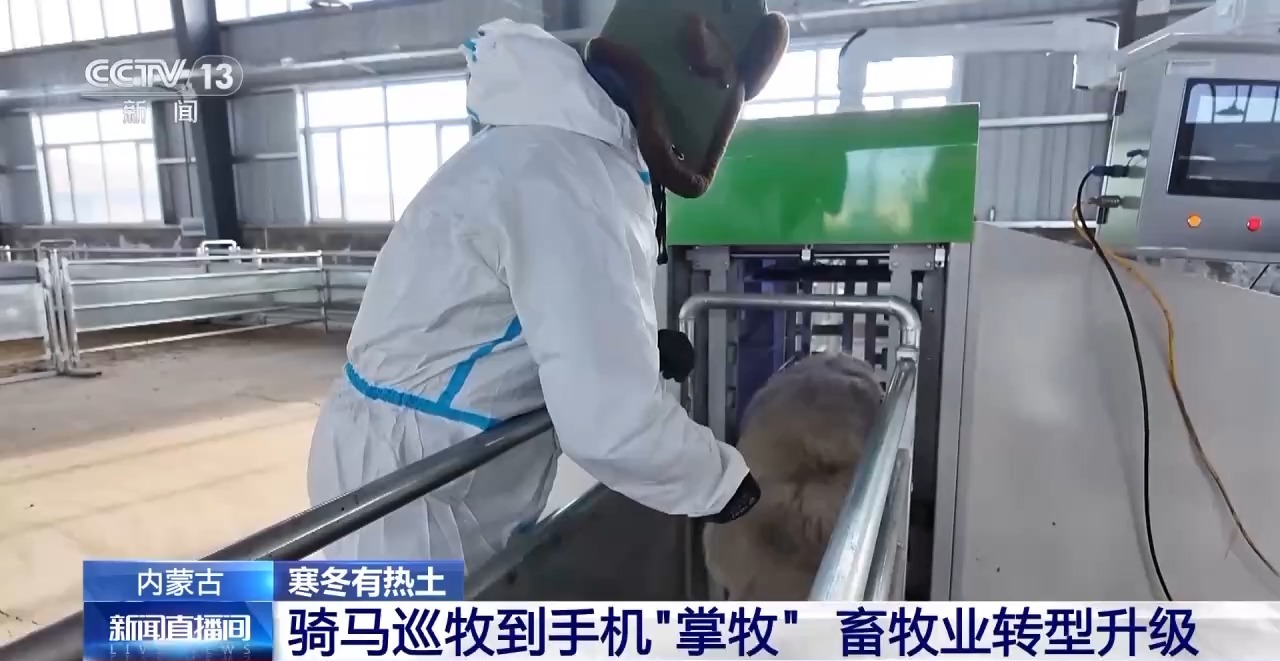 一只羊能有超170种产品!看草原美味如何撬动消费大市场