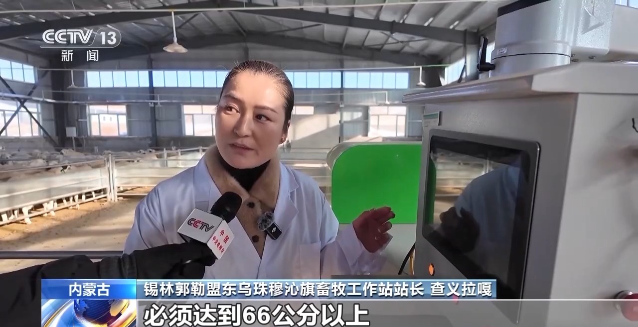 一只羊能有超170种产品!看草原美味如何撬动消费大市场