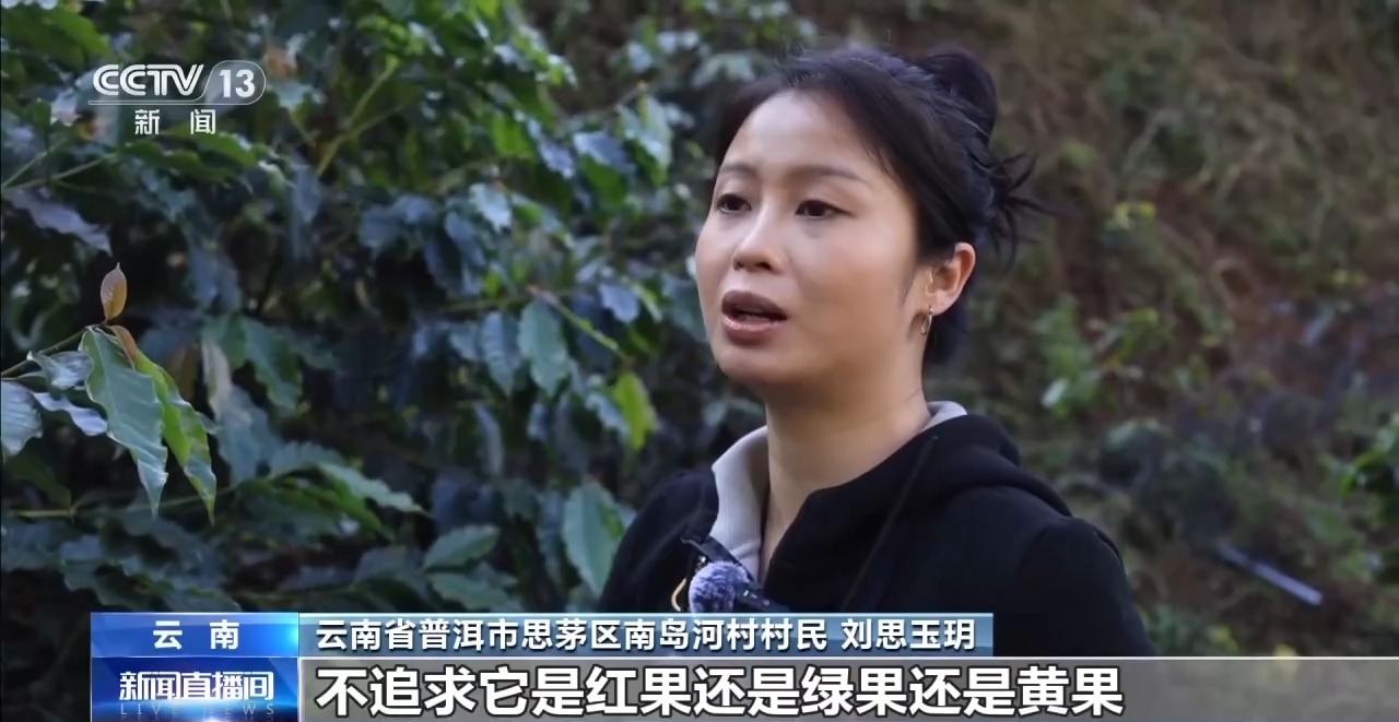 视频丨用好豆出好咖啡 “混搭”经营 云南“咖啡+”成消费新时尚