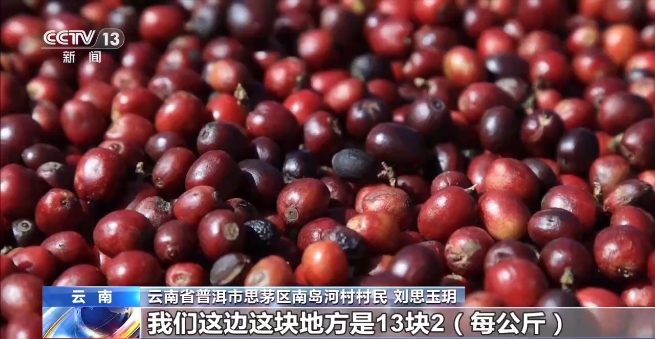 视频丨用好豆出好咖啡 “混搭”经营 云南“咖啡+”成消费新时尚