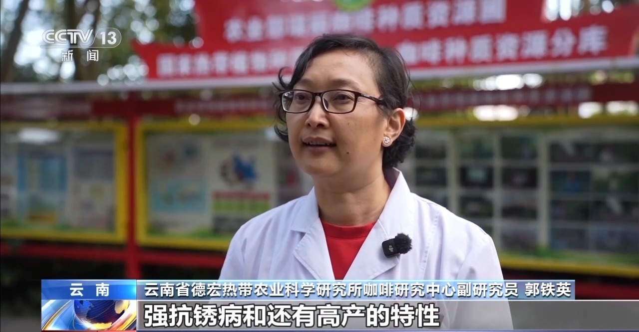 视频丨用好豆出好咖啡 “混搭”经营 云南“咖啡+”成消费新时尚