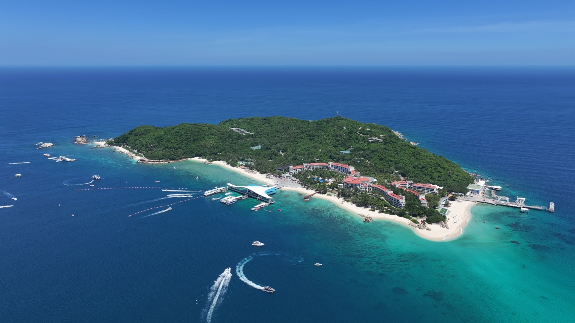 行进的海岸线|国家级美丽海湾优秀案例 15载“海底造林”让三亚海棠焕新