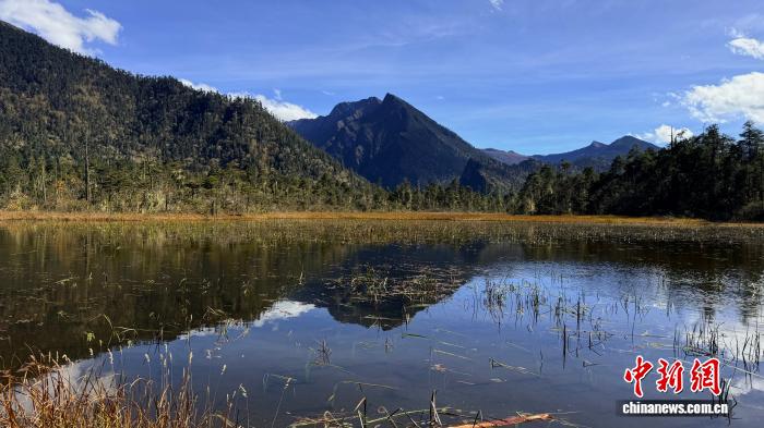 珞巴族“阿妈亚夏”:用32年守护大山孩子的求学梦