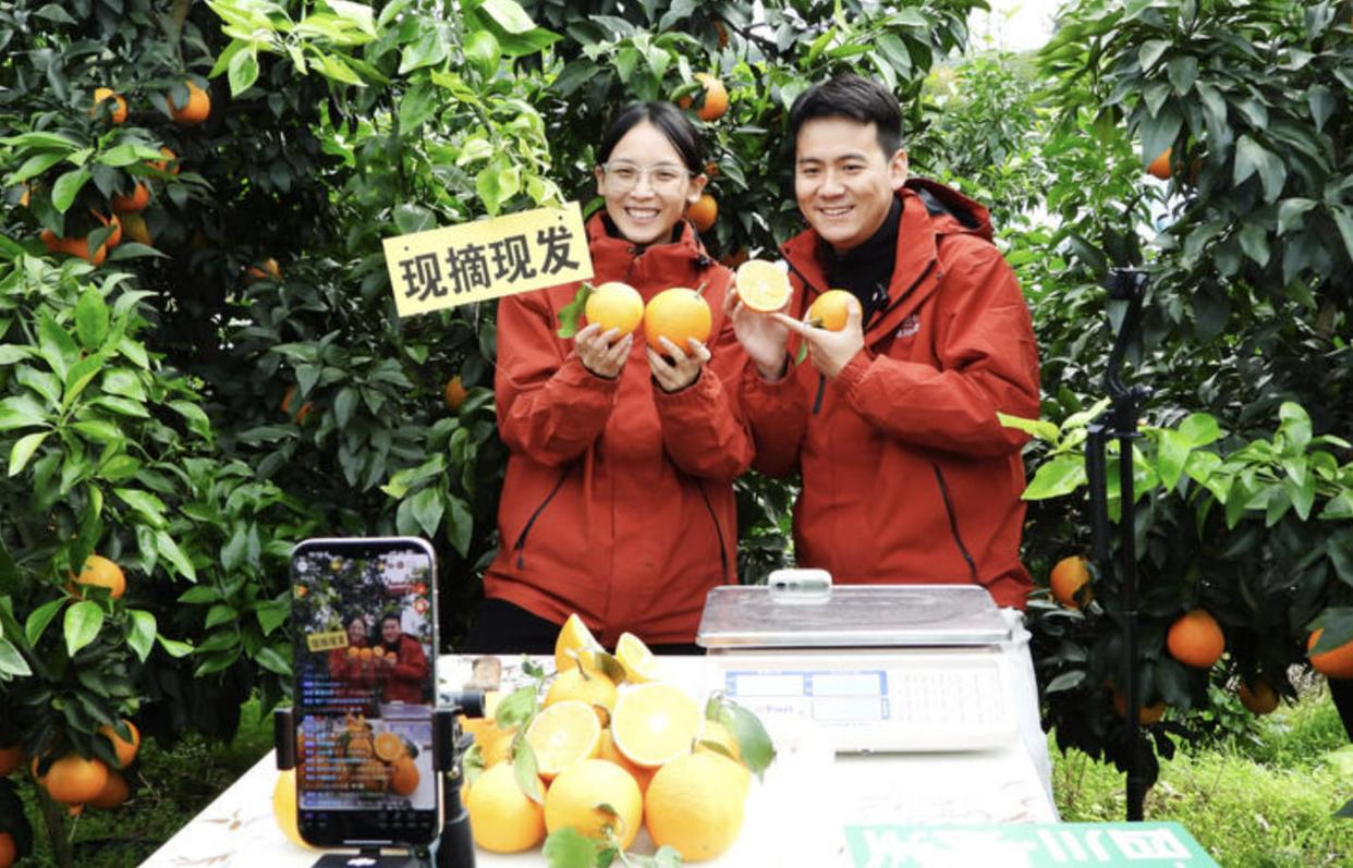 城乡双向奔赴 民生扎根结果丨大象评论