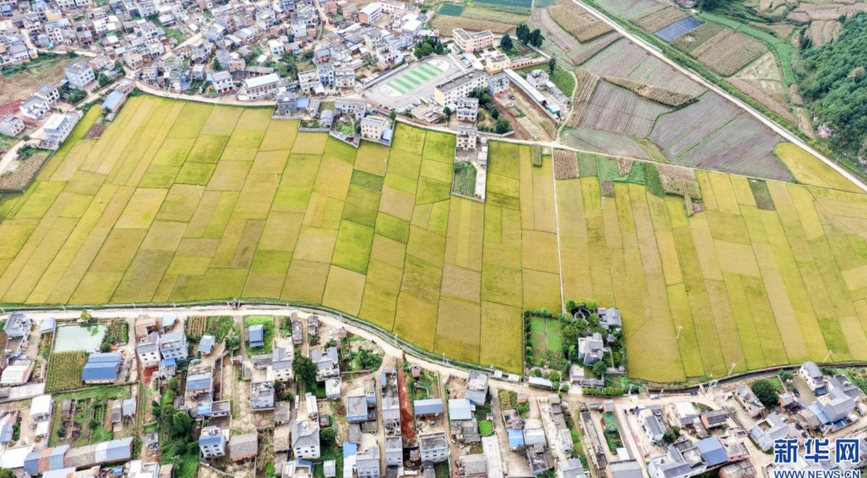 城乡双向奔赴 民生扎根结果丨大象评论