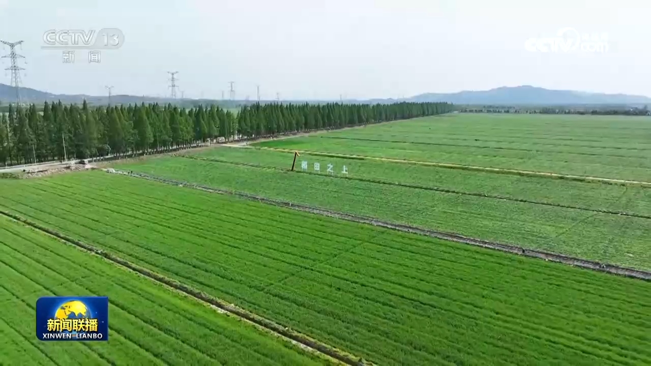 “十四五”期间我国新建改造提升高标准农田4.6亿亩