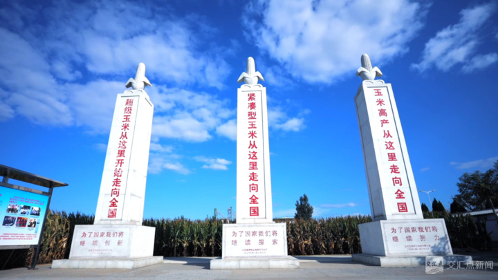 经济大省挑大梁·高手在“民”间|五谷丰登,诠释何以“新鲁商” 经济大省挑大梁·高手在“民”间|五谷丰登,诠释何以“新鲁商”