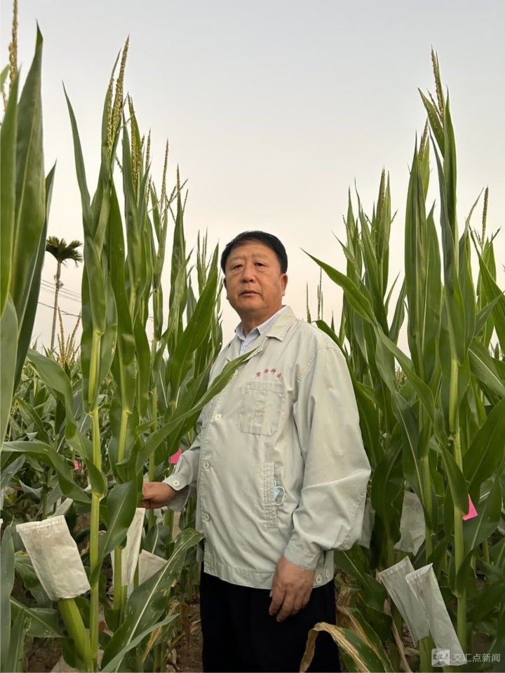 经济大省挑大梁·高手在“民”间|五谷丰登,诠释何以“新鲁商” 经济大省挑大梁·高手在“民”间|五谷丰登,诠释何以“新鲁商”