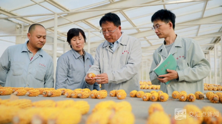 经济大省挑大梁·高手在“民”间|五谷丰登,诠释何以“新鲁商” 经济大省挑大梁·高手在“民”间|五谷丰登,诠释何以“新鲁商”