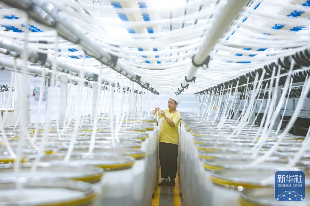 11月份国民经济延续稳中有进发展态势 11月份国民经济延续稳中有进发展态势