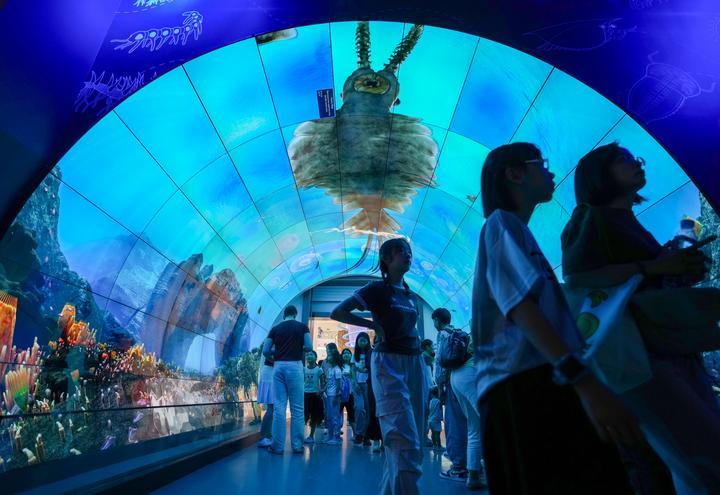 镜观·回响｜云南旅居热 文旅业态兴