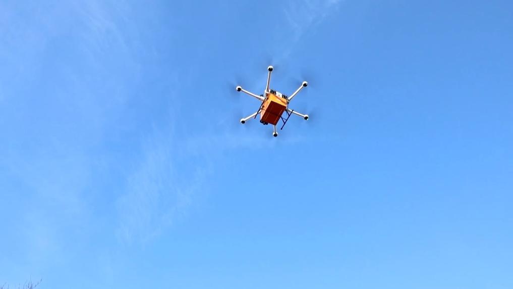 新华视点丨新蓝图 新赛道 激活发展新场景