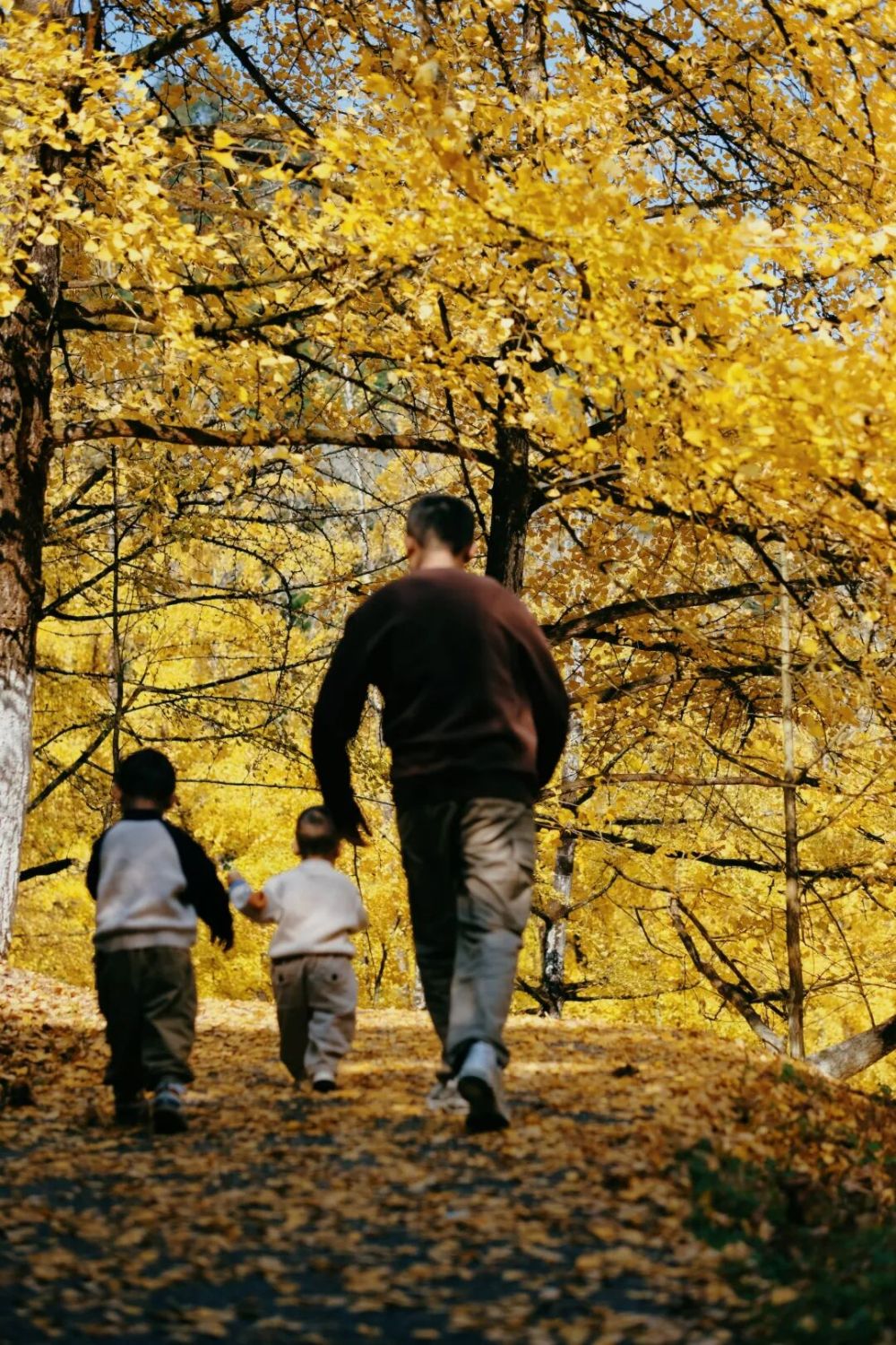 哪张照片，能定义你的2025年？先看看他们的答案