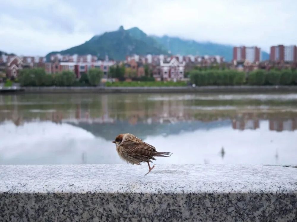 哪张照片，能定义你的2025年？先看看他们的答案