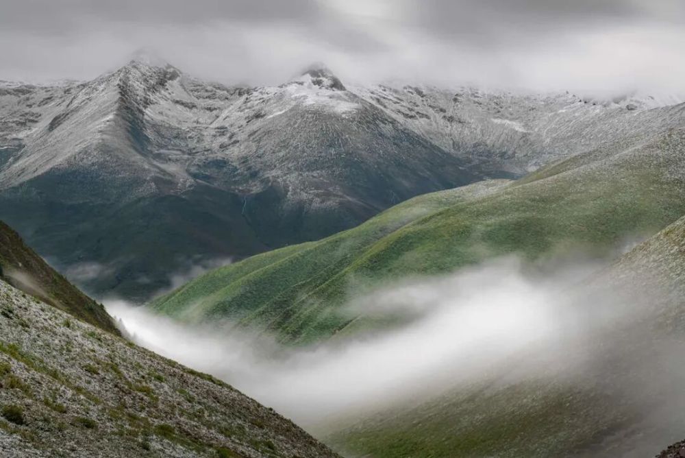 哪张照片，能定义你的2025年？先看看他们的答案