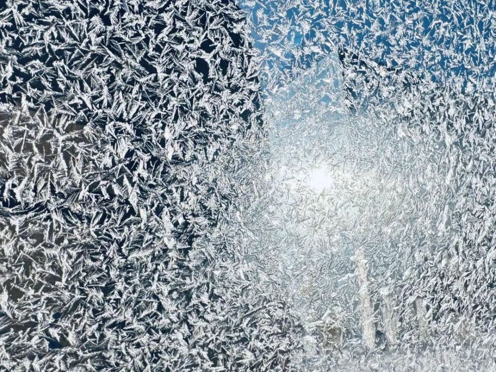 哪张照片，能定义你的2025年？先看看他们的答案