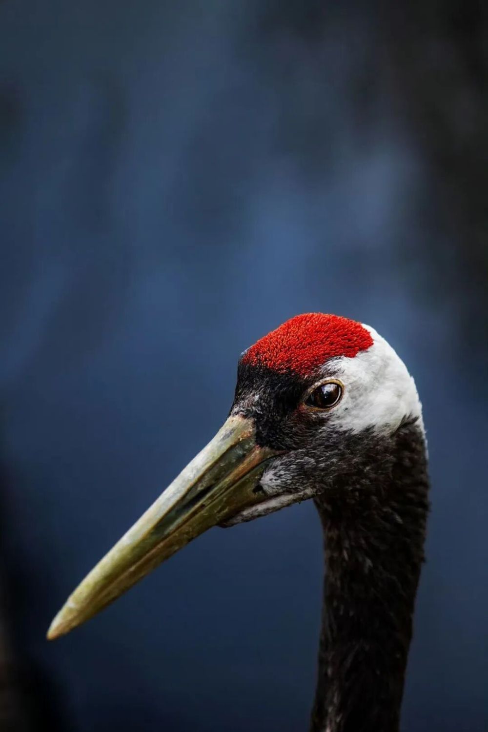 哪张照片，能定义你的2025年？先看看他们的答案