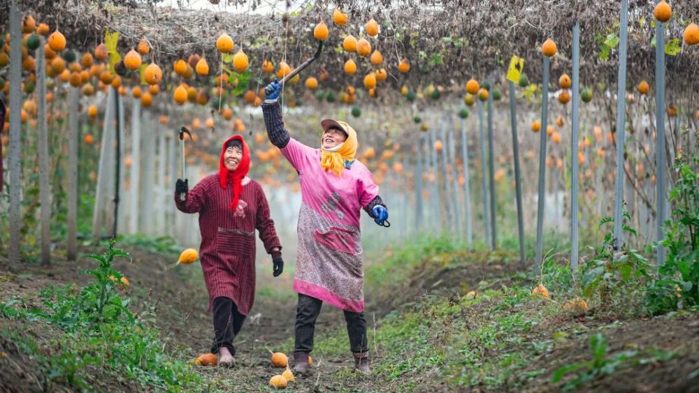 哪张照片，能定义你的2025年？先看看他们的答案