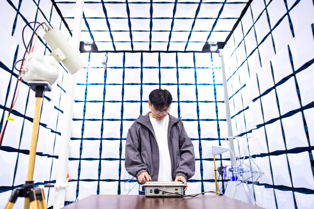 权威解读｜从11月份数据看中国经济增长点